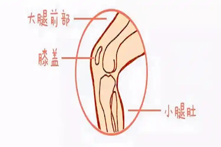 b,观察疼痛发生的时间