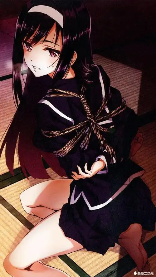 qq搜索"最爱二次元"公众号关注,回复"捆绑"二字,那里有一大波美图等你