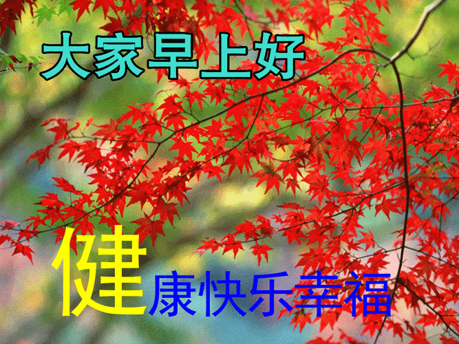 早上好动态表情图片大全早晨好动图美图大全