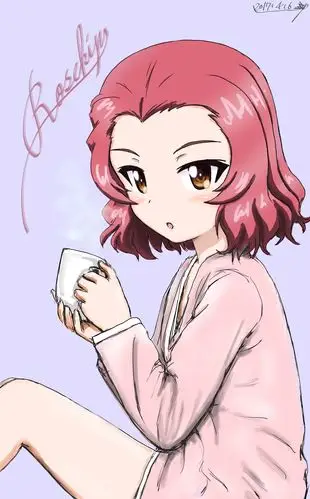 补完少战动画和广播剧最萌到我的居然是蔷薇果