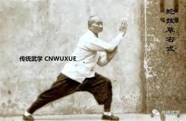 "探访"真实的国术,民间有高人——心意拳(最毒不过心意把)