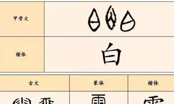 白笔顺 笔画,白字的笔画顺序正确写法图3