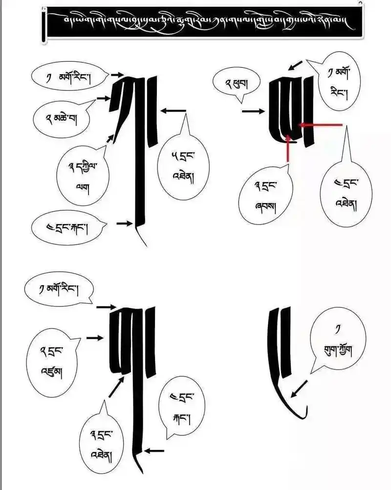 弘扬和传承民族文化 藏文三十个辅音字母笔画名称#零基础教学 - 兑趑