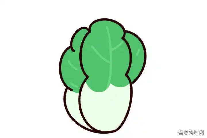 幼儿园小班青菜简笔画涂色