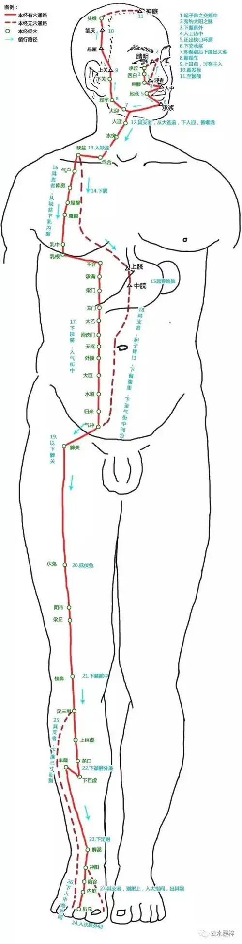 15安身之道61中医针灸足阳明胃经循行