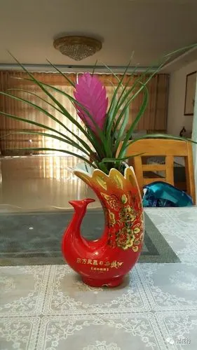 用废酒瓶做了几个花盆