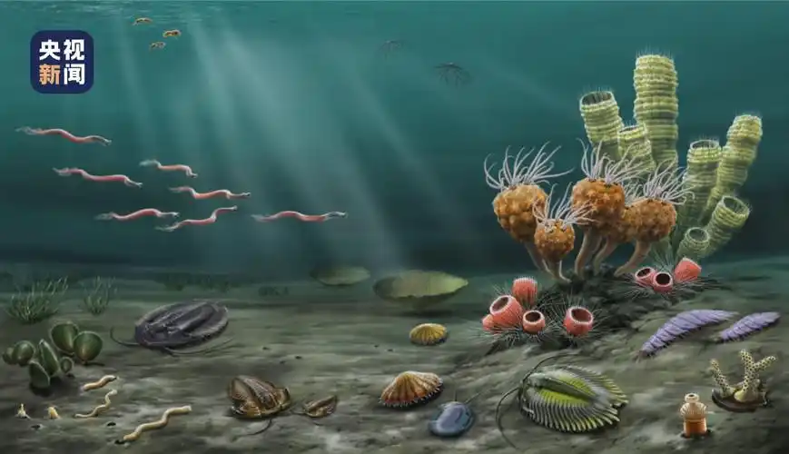 湖南永顺发现的特异埋藏化石库——列夕动物群 揭示奥陶纪生物大辐射