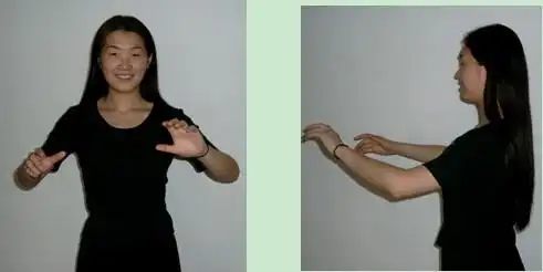 《指挥基础》第二讲:手势的基础知识 - 国际中老年合唱艺术节 - 金色