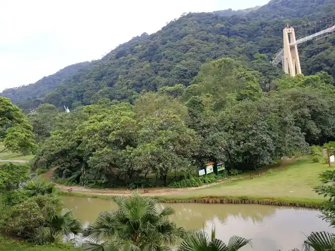 广州增城二龙山开心玩(2019.7.16)