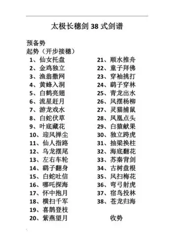 太极长穗剑38式剑谱