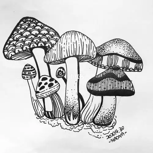 线条练习 01_水笔_针管笔_三菱怎么样_人文_绘画