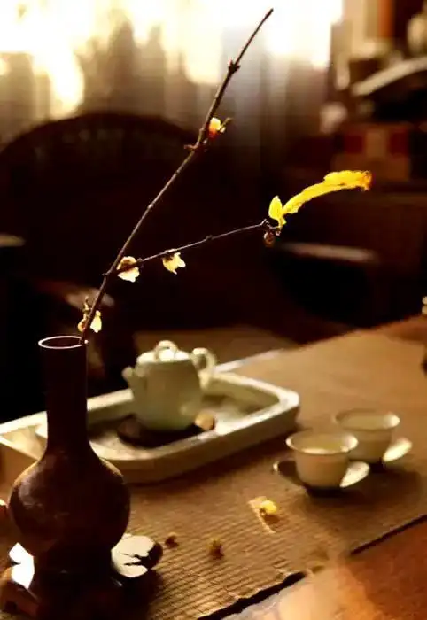 斗室课堂‖禅意插花,美在眼里,静在心里