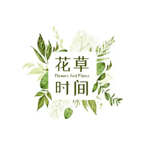 简约花草时间logo设计