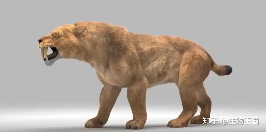 第六名是剑齿虎