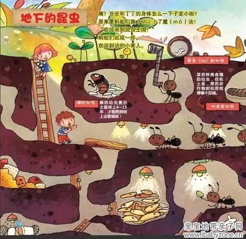 出发昆虫大搜罗欢迎来到昆虫王国