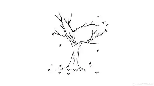 然后画出树干,首先画出干枯的树枝,这一篇文章告诉你枯树简笔画怎么画