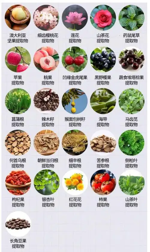 匠心研配的植萃组合,以毛发保护成分为核心,依靠数十种植物提取 植物