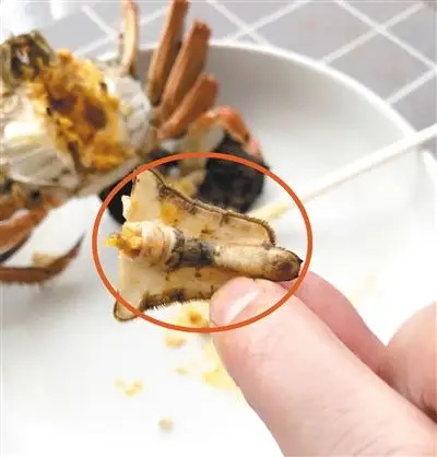 情侣两个月吃了几十只大闸蟹,前两天才发现这4个部位不能吃