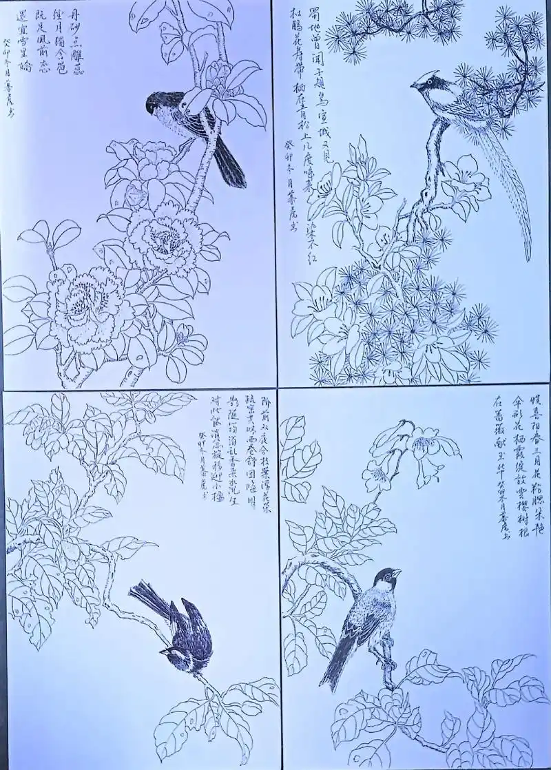 白描花鸟…… - 抖音
