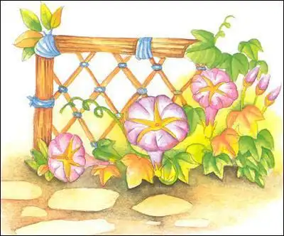 中班故事竹篱笆和牵牛花