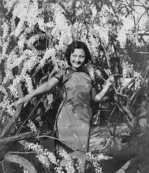 驼龙原名张素贞,东北辽阳人,她的一生充满坎坷,却以女中豪杰相称.