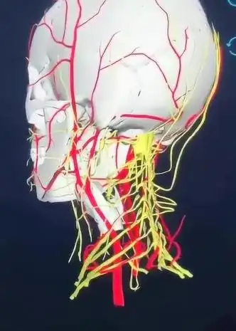 交感神经型颈椎病是什么意思?