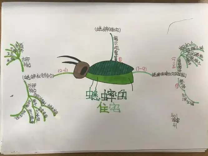 《蟋蟀的住宅》思维导图