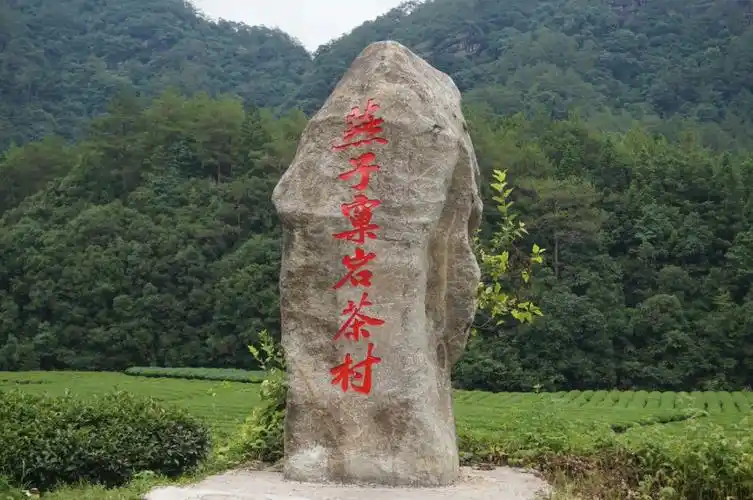 打卡武夷山燕子窠