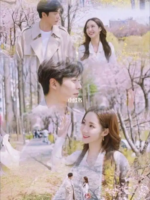 2019最甜最火的韩剧《她的私生活》