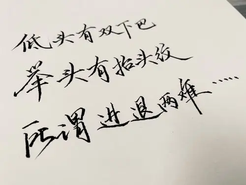 书写人生手写团】第1573天: 低头有双下巴,举头有抬头纹,所谓进退两难