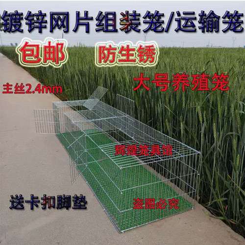 包邮加密鸽子养殖笼兔笼鸡笼子家用鹌鹑笼镀锌铁丝笼运输笼大号笼