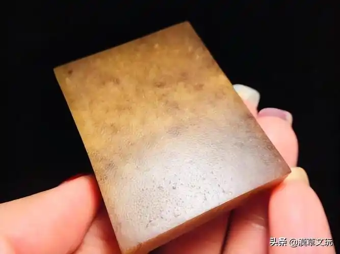 罕见真假犀角放大100倍对比图