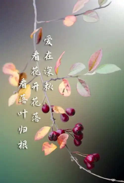 更多相关:秋天文字文字控深秋文字控图片 秋天文字 文字控 带文字