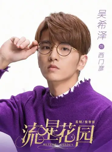 新版流星花园海报图片
