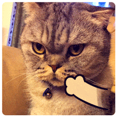 哼鄙视soogifsoogif出品gif动图_动态图_表情包下载_soogif