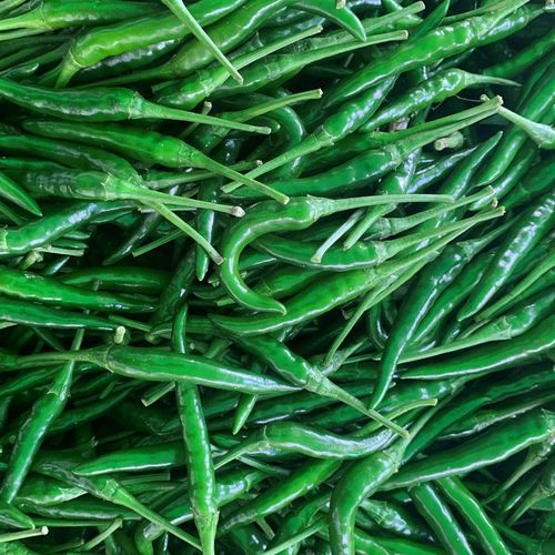 媚调新鲜青米椒小米辣椒现摘广西小尖椒剁椒超辣朝天椒特辣青泡椒