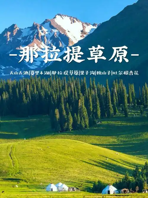新疆旅游人均2k赛里木湖那拉提草原攻略