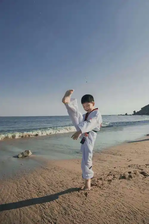 跆拳道好小子2018