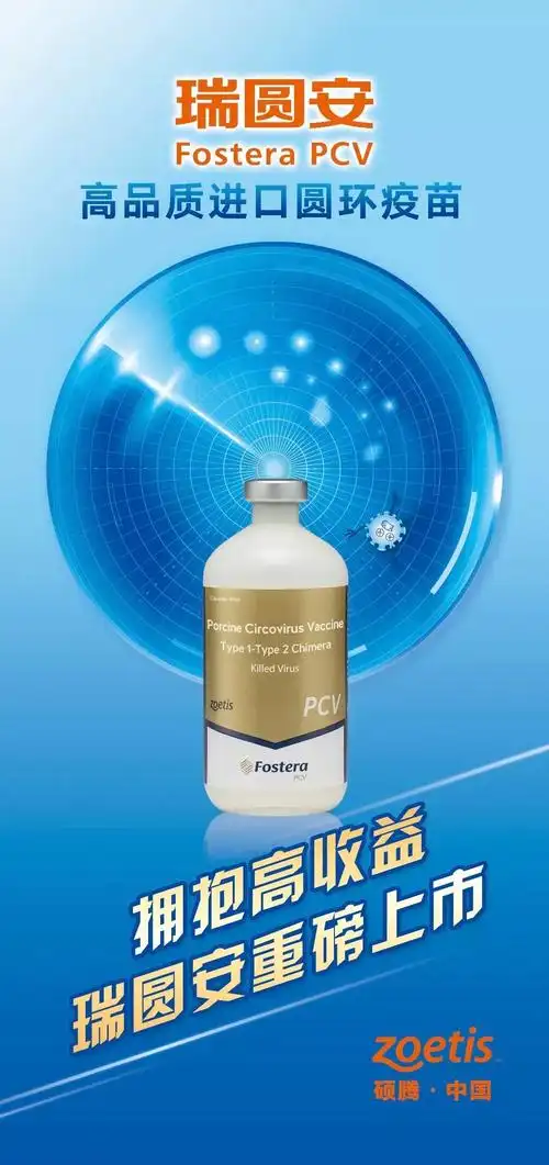 技术问答| 发生猪圆环病毒病,能否接种圆环疫苗?