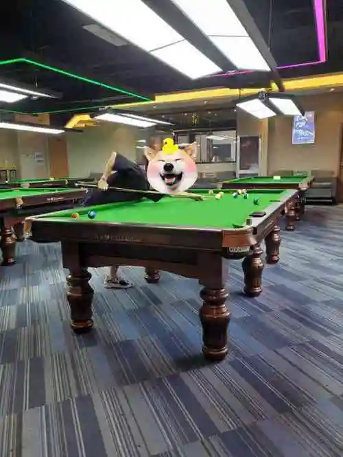 4月新开的店总体来说可以设施这种都比较新地理位置可以电梯上去出门