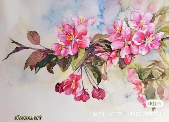 水彩  #水彩画教程  #海棠花开  #水彩画  #绘画