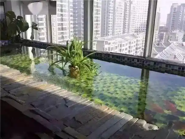 阳台这样做,养鱼,养虾,养花_鱼池