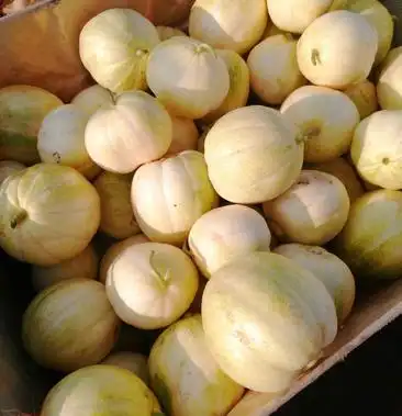 00元/斤 - 一亩田