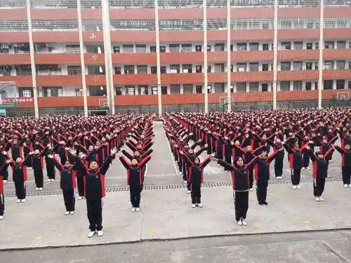 隆回县东兴中学元旦放假通知