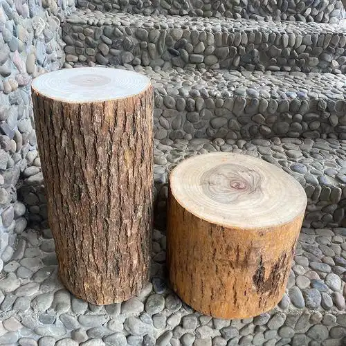 原木墩实木墩子香樟树树墩树桩凳子创意茶几角几实木圆凳现代简约