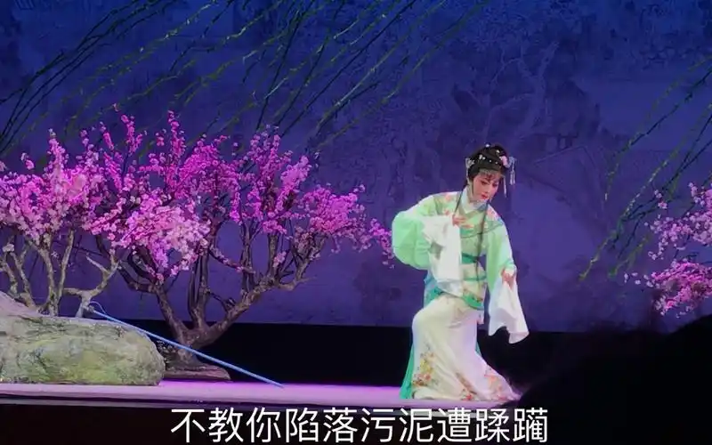 越剧〕红楼梦 黛玉葬花 郑国凤李敏 20181217上海人民大舞台_擗哩