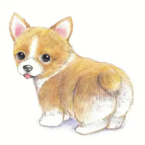 彩铅  #彩铅动物  #可爱动物  #动物  #绘画  #零基础绘画  #彩铅