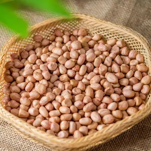 21新货5斤 山东花生花生新货生白皮花生仁原料白沙花生