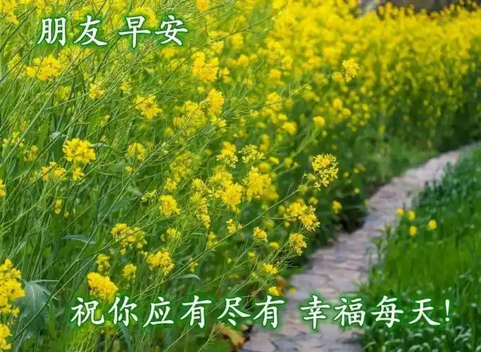 原创8张最新漂亮春日清晨风景早上好图片带祝福语