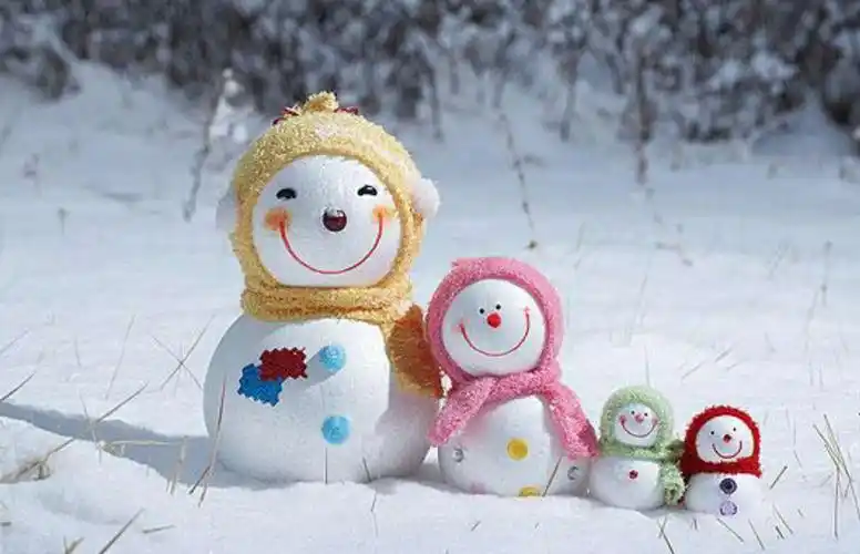 "冬天里的小雪人"——二实小幼儿园小二班冬季主题活动 - 美篇